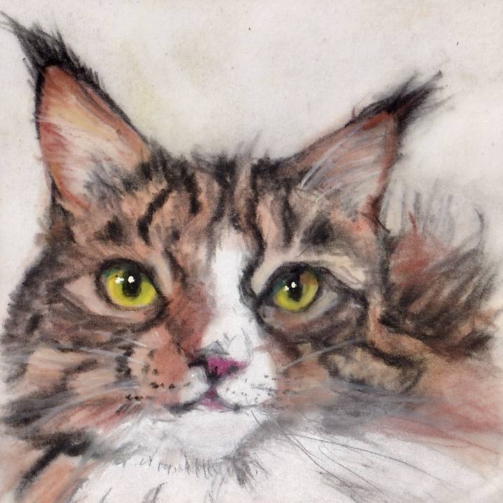 656a5640 de4f 443e 8f9e 6cc25eeadf01 1739674235457