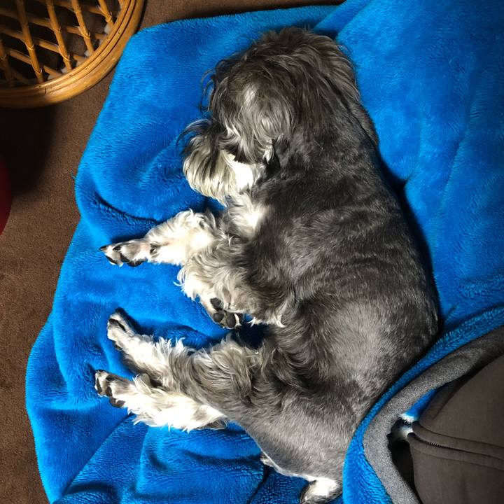 656a614c f1d7 4416 ac53 02efb3a40bae 1524834971208