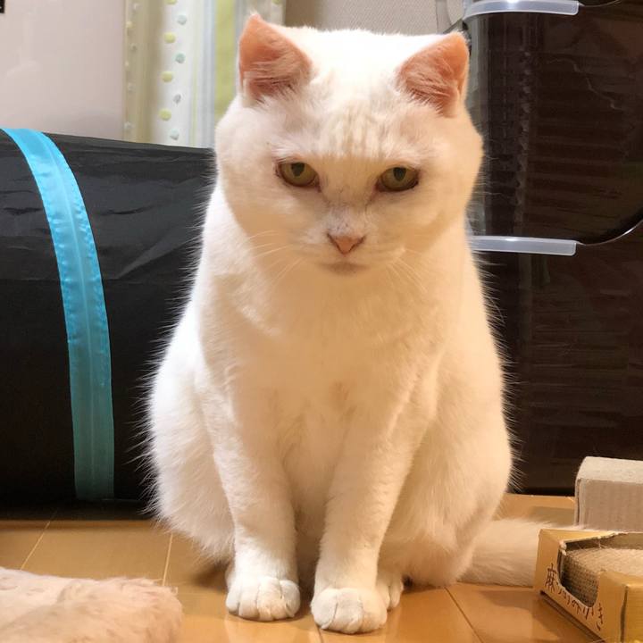 656a84b3 b448 498a 858a 0fdb61fb1258 1532358602298