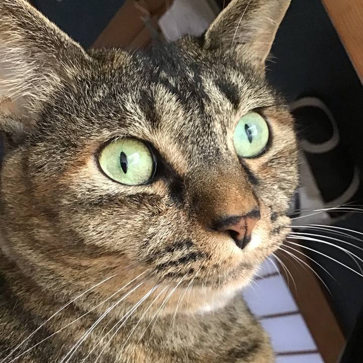 656a9722 8963 44e0 85aa 40d886b25ac0 1692619815223