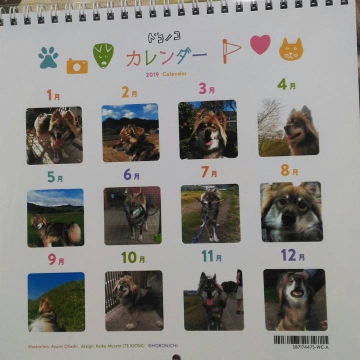 656acd3c 14d3 45aa a257 2858b15bc9de 1546244700542