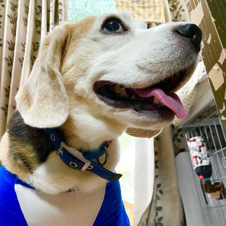 656b5631 578d 44af 892b c61989aa2ae8 1621570659180