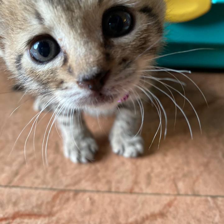 656b6324 0093 45c9 b819 d590a315021a 1596111616011