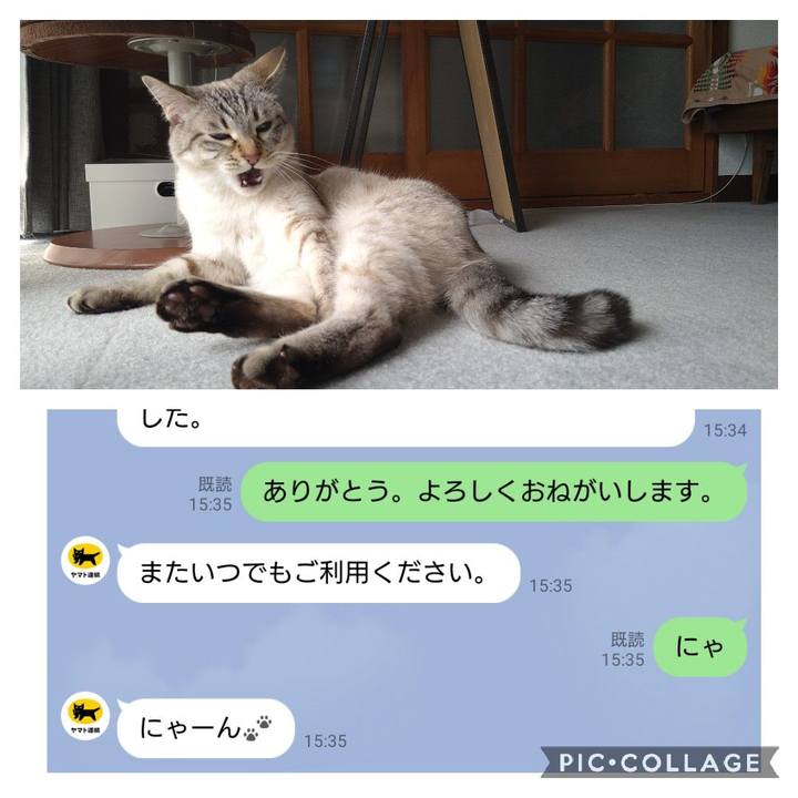 656bef22 8975 4d1e ba65 bec78a103078 1617432036759