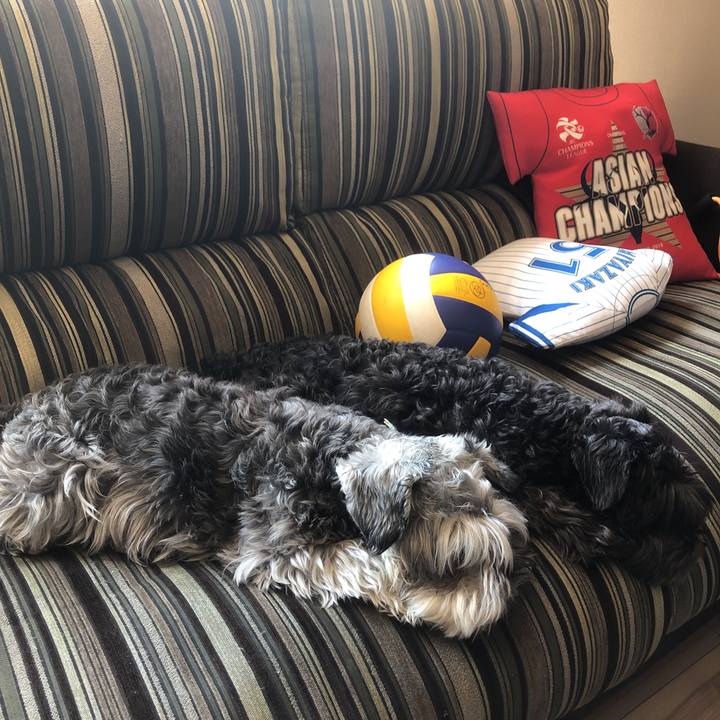 656bff40 211d 4bc2 a87c e6e013eaf5f3 1556933014207