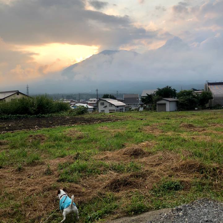 656c0c11 b6d9 446d 9ded 2576d147bc88 1599299937476