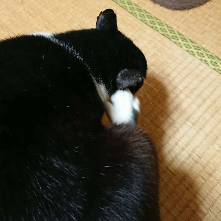 656c4084 6577 4621 9b15 05d768a427c3 1542270460742