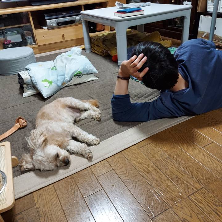 656d105d 5229 41e2 97d7 806d5f69fed2 1632731028787