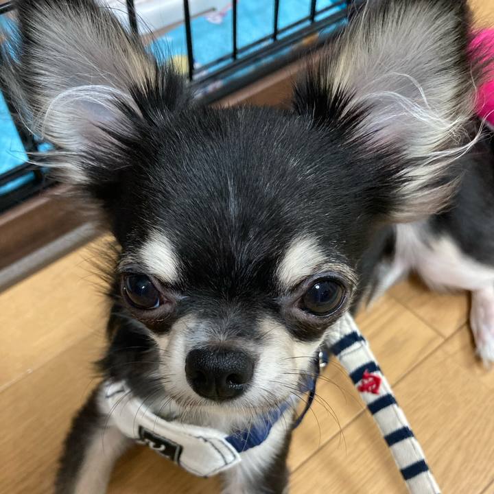 656d282e 1312 42b6 b30d b96a3ef74af8 1600607565167