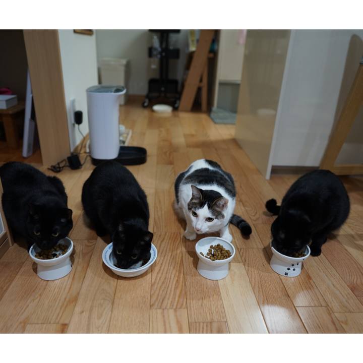 656d2cd1 5607 4a24 8d64 3636af680463 1544484406211