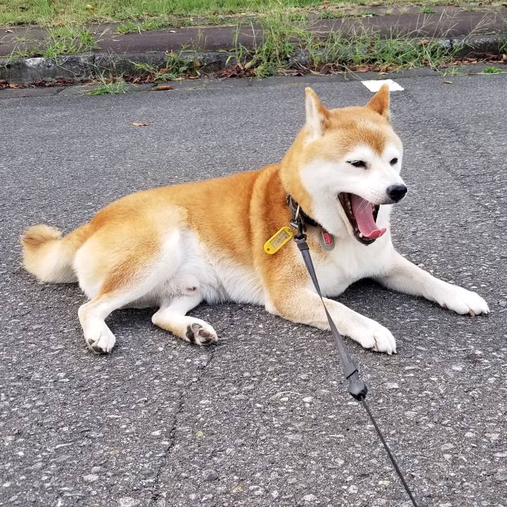 656d3660 77e7 4873 a263 b3a888356964 1599982516167