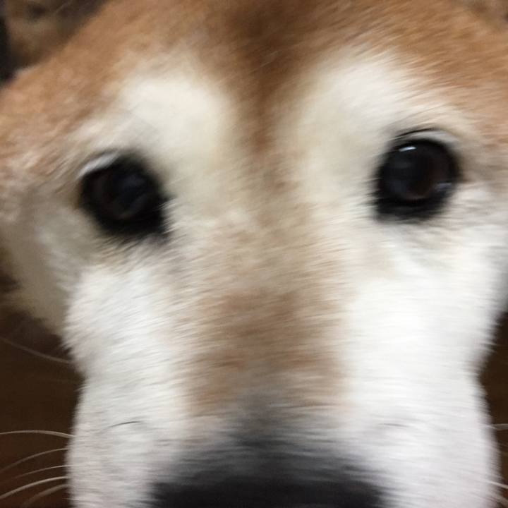 656d3a93 b6a4 4c6a 9d66 d39f8f66c684 1552040033510