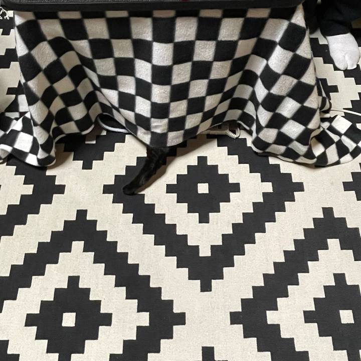 656d4326 6d93 4487 bc17 12e5cfacf91c 1773305418962