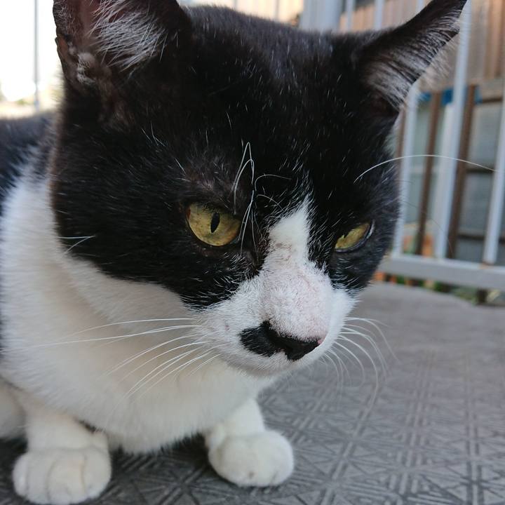 656d4891 2aea 4e86 a8df 270c43f2e34e 1542430545902