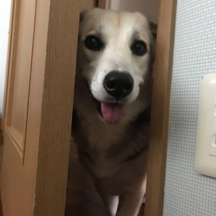 656d63db a67a 461d a889 39ed79fdfe32 1521841457750