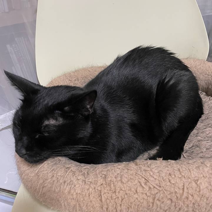 656d721d 1652 4ad5 920a c3fab129daec 1696855231937