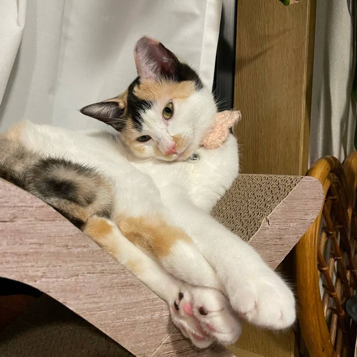 656d807a 9eaa 4999 ae6a 0db392a05335 1669019817958