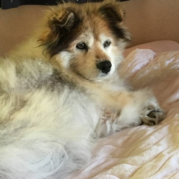 656db925 3a28 48dd b275 49103ba69551 1609641049873