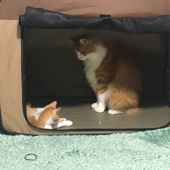 656dbcbe dd60 47bd b867 32a8e6fb8cb8 1633484115325