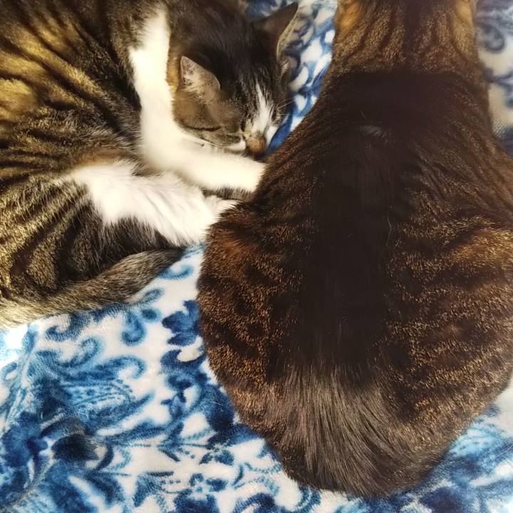 656dfe45 5659 465d 9447 ce467023e021 1640663642646