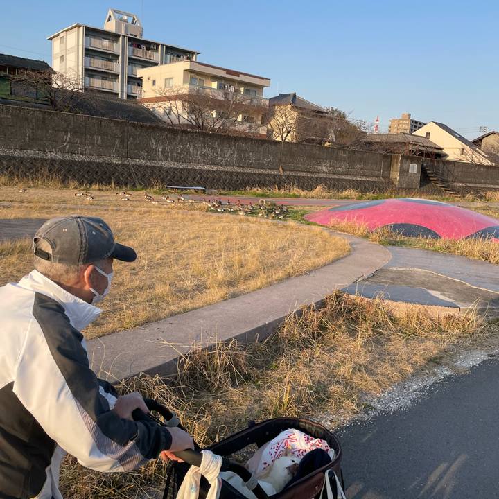 656e1d3a dc49 4c4d 90c7 ce5e336f5e6c 1678184425900