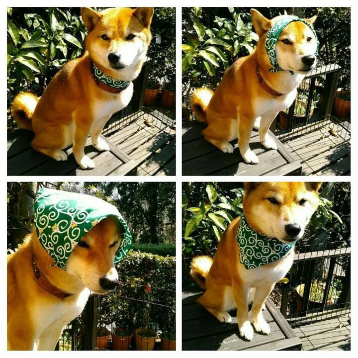 656e7897 1b62 4002 8781 e0f483c15af2 1552619433659