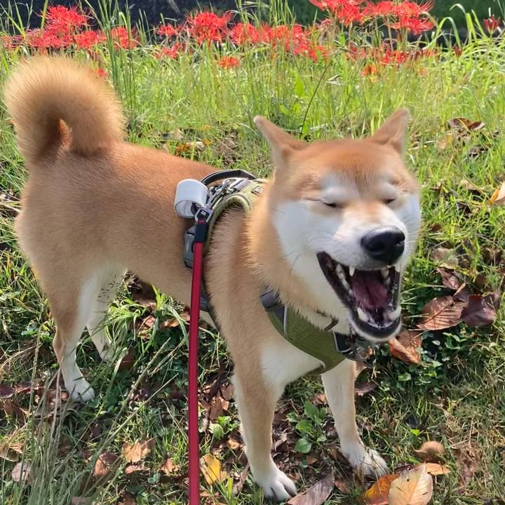 656e9777 fb3c 4dd4 97c5 65437a567e4f 1664238234448