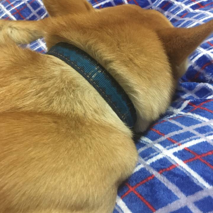 656eb0bd bf23 47f3 ada3 5ec3c9d63235 1519135636056