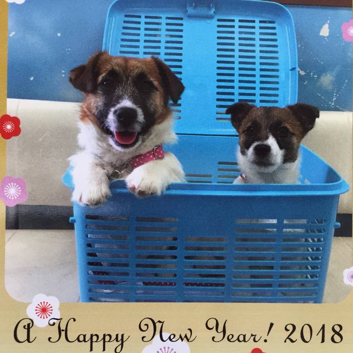 656eb833 d9a5 4451 b4ee 06dc6389e20f 1514766816910