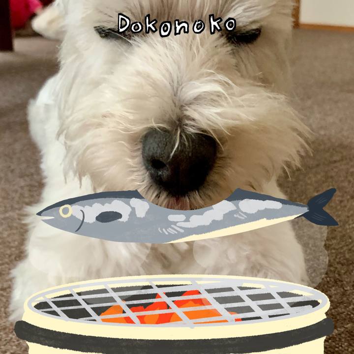 656ec22d bcd2 4d7a bf16 51dec366ee8f 1761297969851