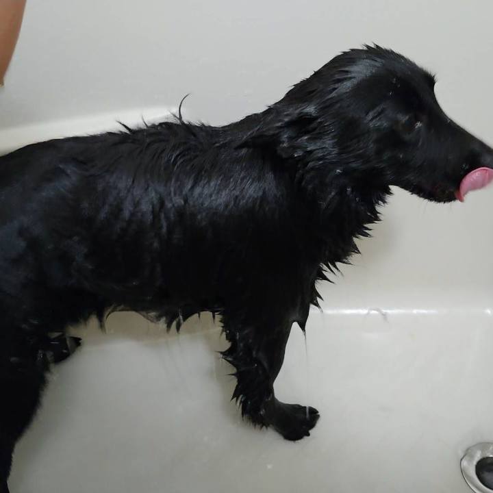 656ed3c4 81fb 40b6 84f1 7dbd1dc0ee60 1593226301815