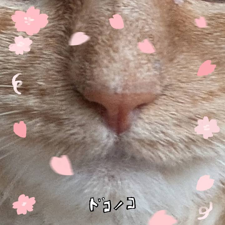 656efda5 57af 4922 972a fd4cfbaaaad3 1744538892470