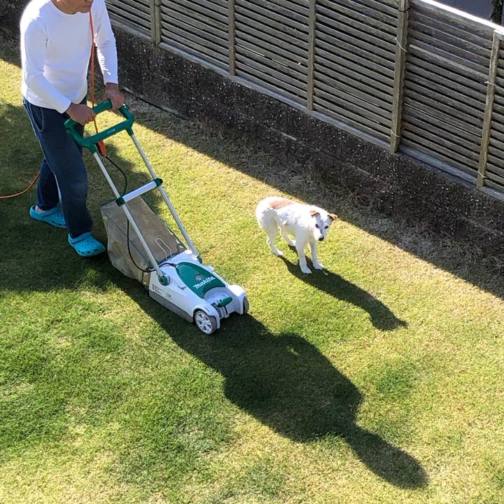 656f3d38 b17e 4b21 b57e 2cf8f6548233 1650670862901