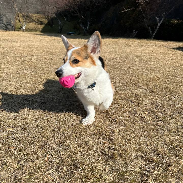 656f4621 649a 4ed1 a091 79e6dea2e33e 1767925683532