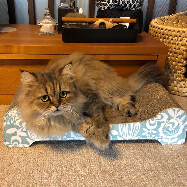 656f5f30 24e5 47ec bc9b 1cc2b375eda7 1601086563262