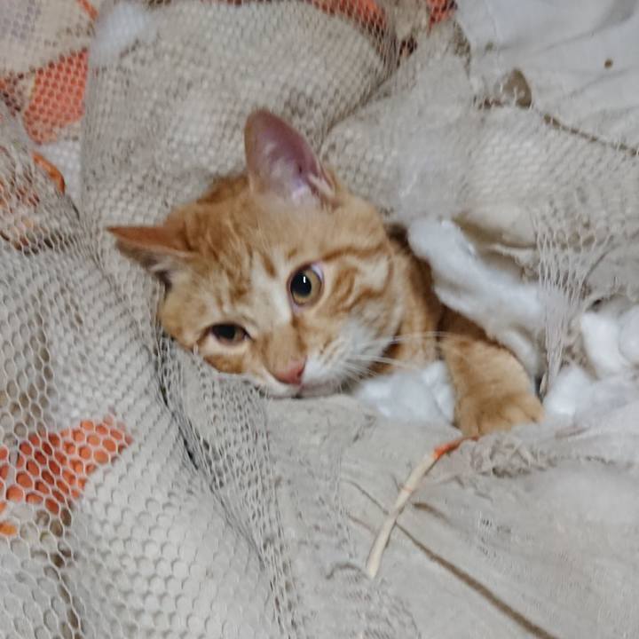 656f796d 7e3e 47cf 9266 f403641a3980 1647118808702