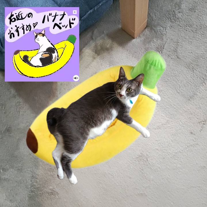 656f9b98 1eb1 457a 9bca c1b11acdf812 1661723896141