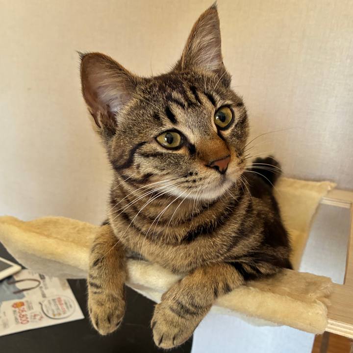 656fa418 0441 4363 a714 339011bbe88c 1751172756827