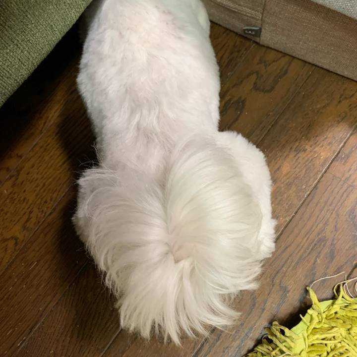 656faed2 c819 44e3 8cdd 142d04732afb 1675860851246