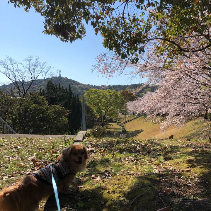 656fba7a efe2 40dd 8d7f 4d7c61fa61a5 1555114731069