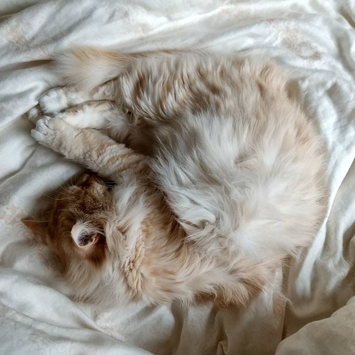 656fde5f 0daf 43fb 8559 e3da219c7fb3 1651383132397