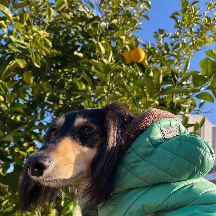 656ff0ed e6da 4941 b2c3 c04b709a3e29 1735369096745