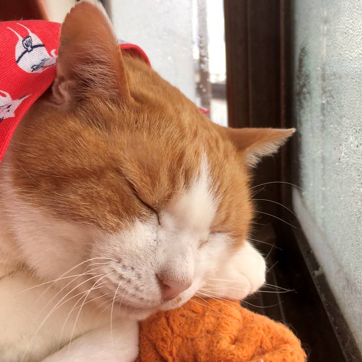 656ff92d 10b7 431c 8452 829a397edef4 1577696686953