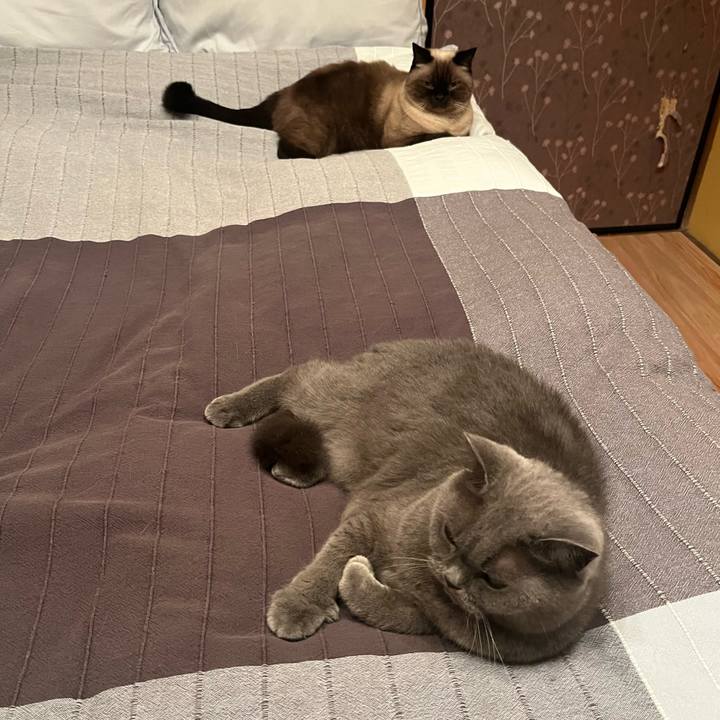 65703132 406c 497b b178 64d57c78ba18 1665142347351