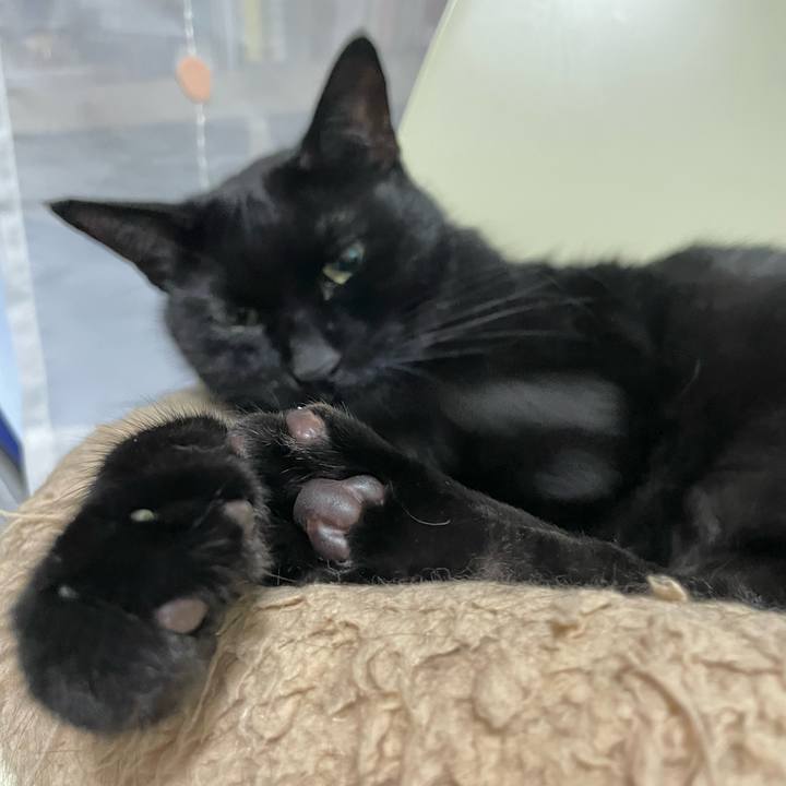 65704e90 e5ba 4cf5 afe1 cf0f319d1df4 1667048152591