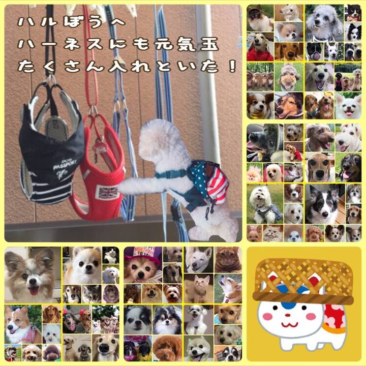 65705948 0354 4e11 98f1 df89b9a4f938 1535003669131