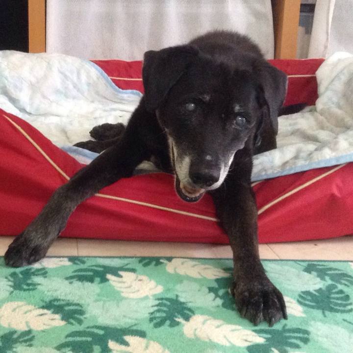 65706445 ed30 48e4 a758 9e9e1d505a5a 1738588597665