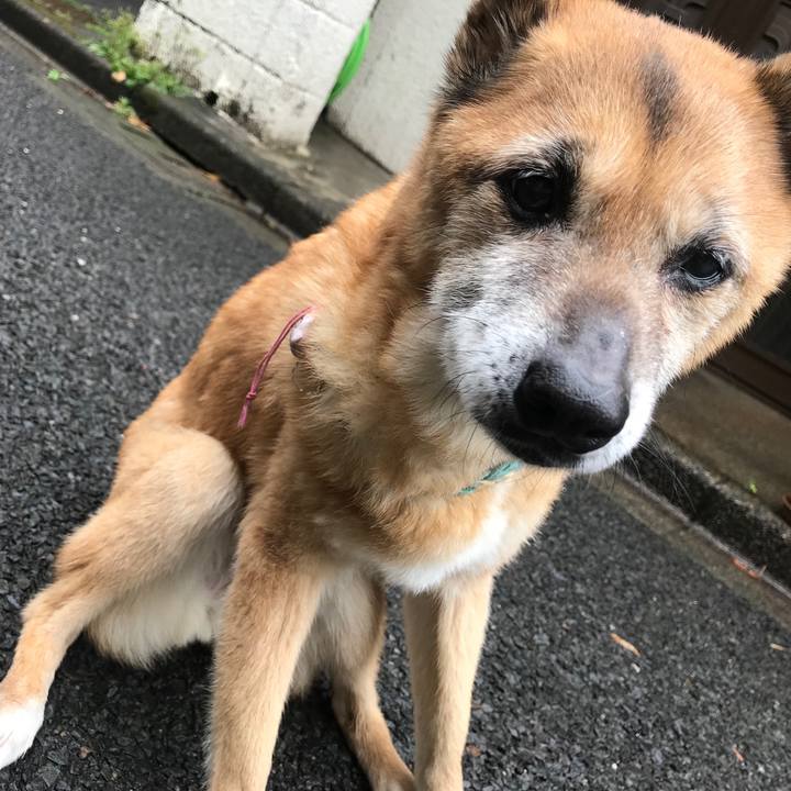 657073a3 47e2 45c7 9dcf 98ace9b310d4 1556587479824