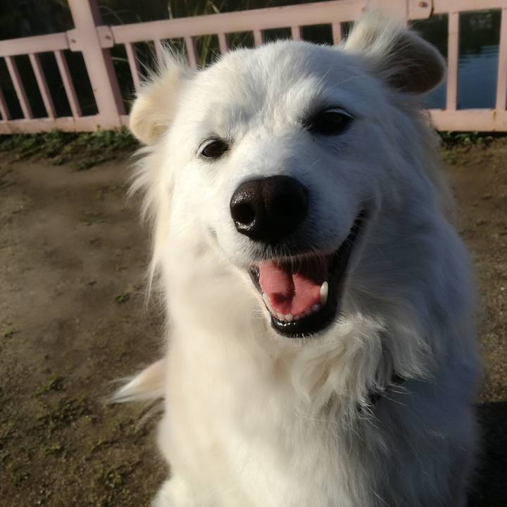 6570b1f5 659c 4b78 a58c ec786fb6d271 1520928985937