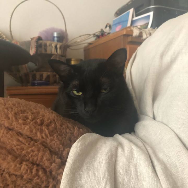 6570cc2a 2384 472d acfc b46eb6a69373 1547340744976